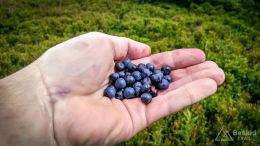 IMG_20170716_141902_HDR