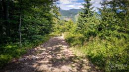 IMG_20170716_150715_HDR