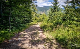 IMG_20170716_150715_HDR