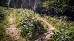 IMG_20170716_150745_HDR