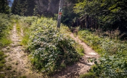 IMG_20170716_150745_HDR