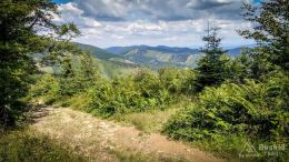 IMG_20170716_150804_HDR