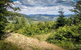 IMG_20170716_150804_HDR
