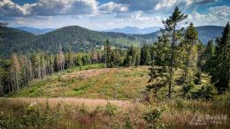 IMG_20170716_154832_HDR