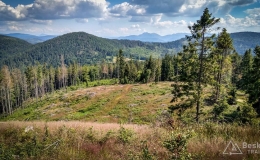IMG_20170716_154832_HDR