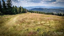 IMG_20170716_155159_HDR