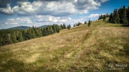 IMG_20170716_160645_HDR