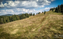IMG_20170716_160645_HDR