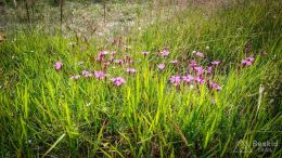 IMG_20170716_163134_HDR