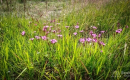 IMG_20170716_163134_HDR