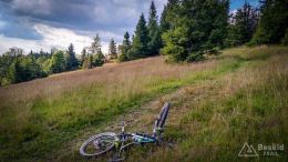 IMG_20170716_163140_HDR