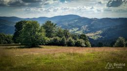 IMG_20170716_163254_HDR