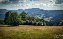 IMG_20170716_163254_HDR