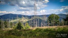 IMG_20170716_164036_HDR