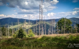 IMG_20170716_164036_HDR