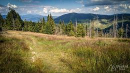 IMG_20170716_164119_HDR