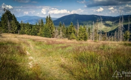 IMG_20170716_164119_HDR