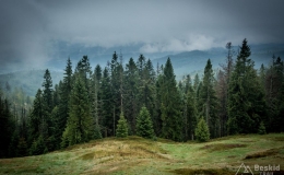 _DSC6125