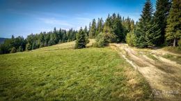 IMG_20170910_101843_HDR