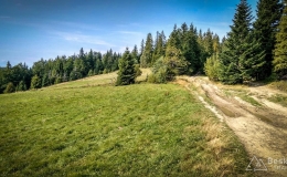 IMG_20170910_101843_HDR