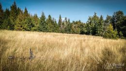 IMG_20170910_103235_HDR