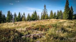 IMG_20170910_103248_HDR