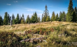 IMG_20170910_103248_HDR