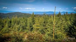 IMG_20170910_104737_HDR