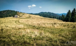 IMG_20170910_110501_HDR