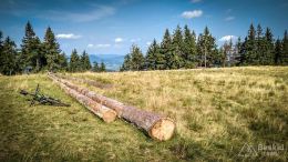 IMG_20170910_110514_HDR