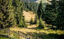 IMG_20170910_111915_HDR