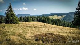 IMG_20170910_112544_HDR