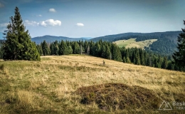 IMG_20170910_112544_HDR