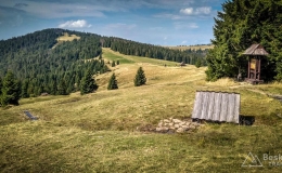 IMG_20170910_113144_HDR