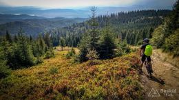 IMG_20170910_114016_HDR