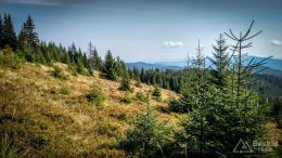 IMG_20170910_114021_HDR