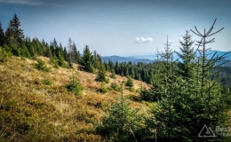 IMG_20170910_114021_HDR