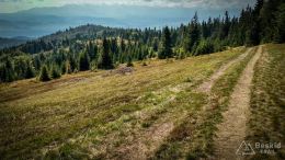 IMG_20170910_114353_HDR