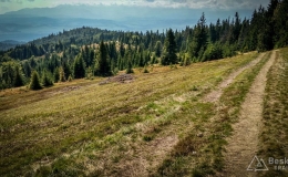 IMG_20170910_114353_HDR