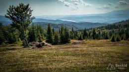 IMG_20170910_114359_HDR