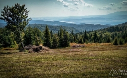 IMG_20170910_114359_HDR