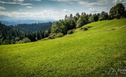 IMG_20170910_123413_HDR