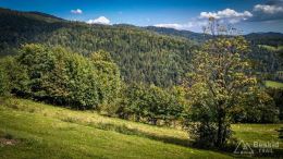 IMG_20170910_123557_HDR