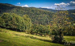 IMG_20170910_123557_HDR