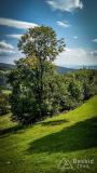 IMG_20170910_123603_HDR