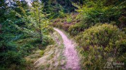 IMG_20170910_130400_HDR