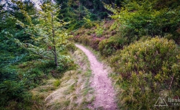 IMG_20170910_130400_HDR