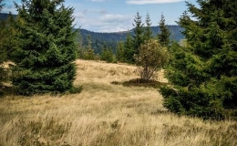 IMG_20170910_130850_HDR