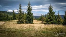 IMG_20170910_131031_HDR