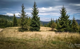 IMG_20170910_131031_HDR